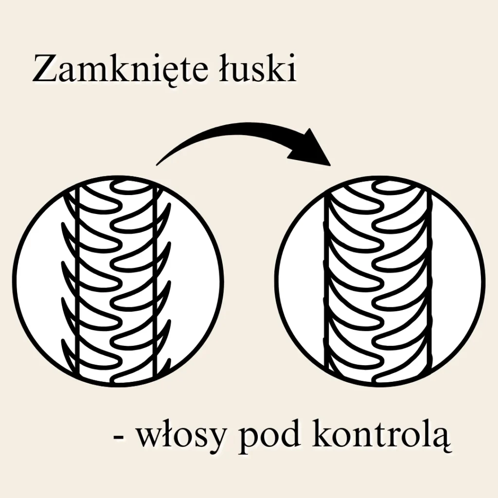 Główne korzyści jonizacji - gładkie włosy bez wysiłku
